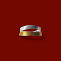 Brushed Duo Tone Ring